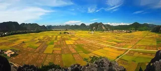 中國(guó)經(jīng)濟(jì)體制改革基金會(huì)全國(guó)第一！中國(guó)改革熱度第三方評(píng)估出爐，云浮宣傳系數(shù)在全國(guó)343個(gè)城市居首位                             